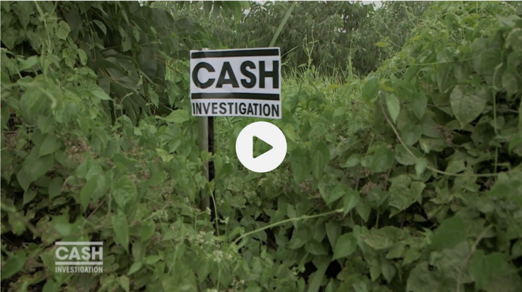Image d'appel de Cash investigation : logo planté dans la forêt