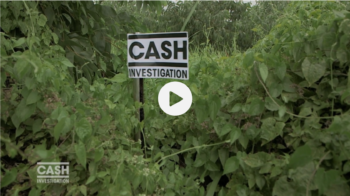 Cash investigation: RAZZIA sur le bois