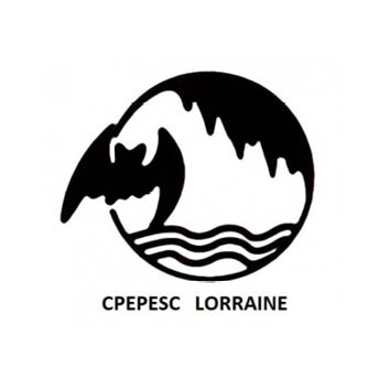 Logo CPEPESC Lorraine