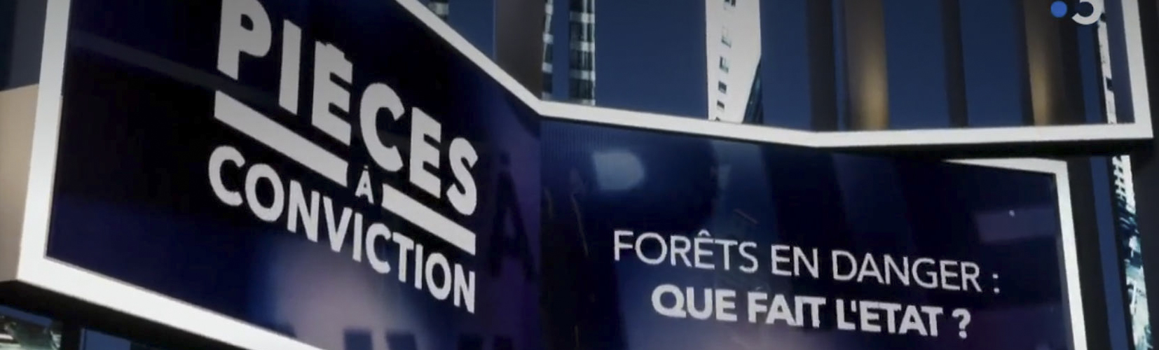 France 3 : un “Pièces à conviction” remarquable sur la forêt