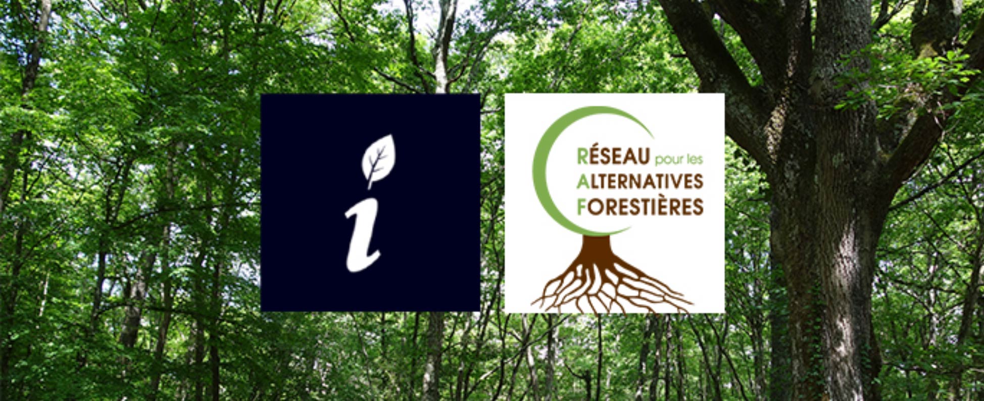 3e rencontres “foncier forestier” du Réseau pour les alternatives forestières (RAF)