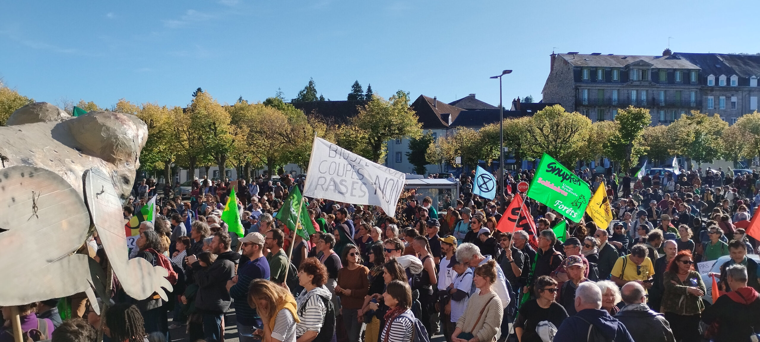 Pour des forêts vivantes, donc contre les méga usines à bois