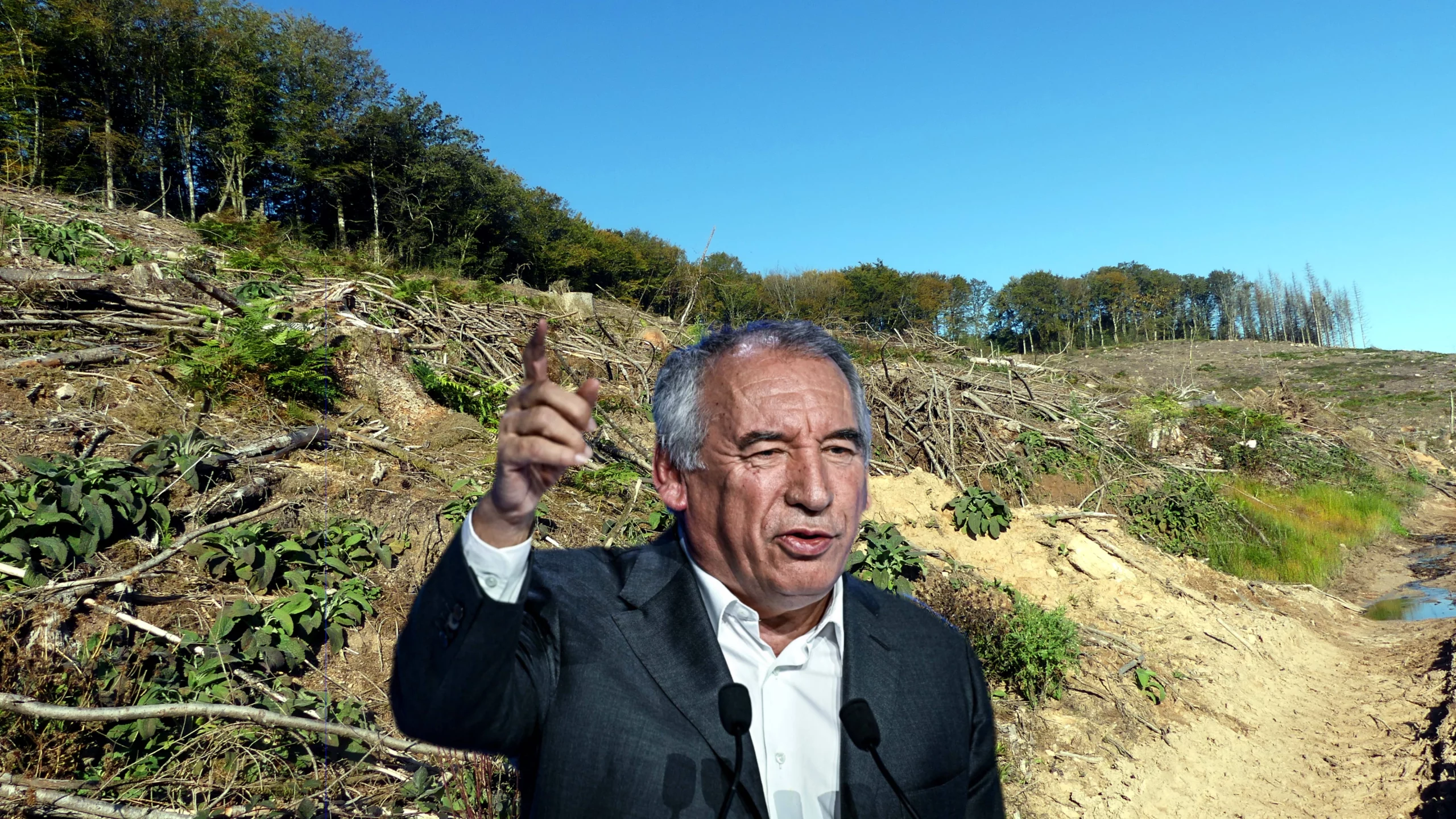 François Bayrou, savez-vous que les bords de la forêt reculent ?