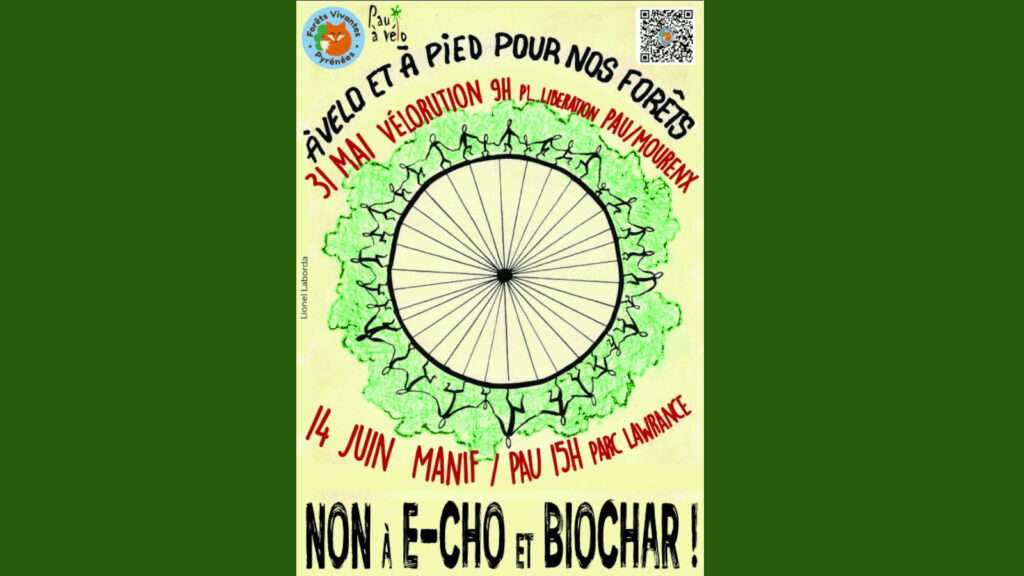 visuel affiche manifestation 14 juin 2025 Pau
