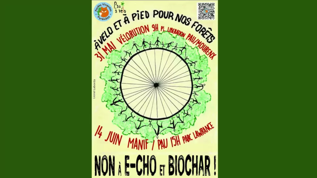visuel affiche manifestation 14 juin 2025 Pau