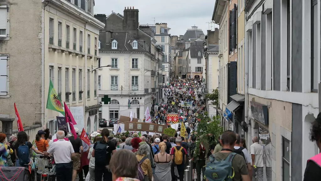 Retour de manifestation, retour de bâton