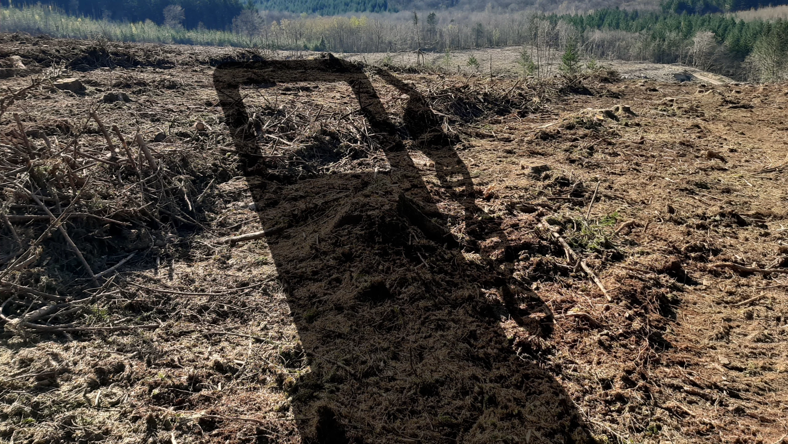 ombre d'une pompe à essence avec tuyau d'arrivée en forme de brin d'ADN