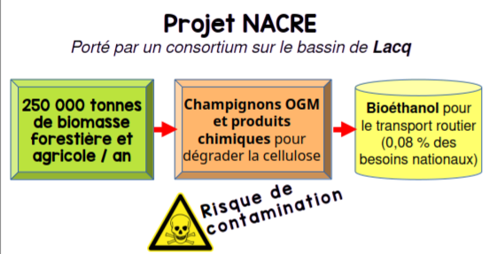 schéma illustrant le projet NACRE de transformation de bois en carburant